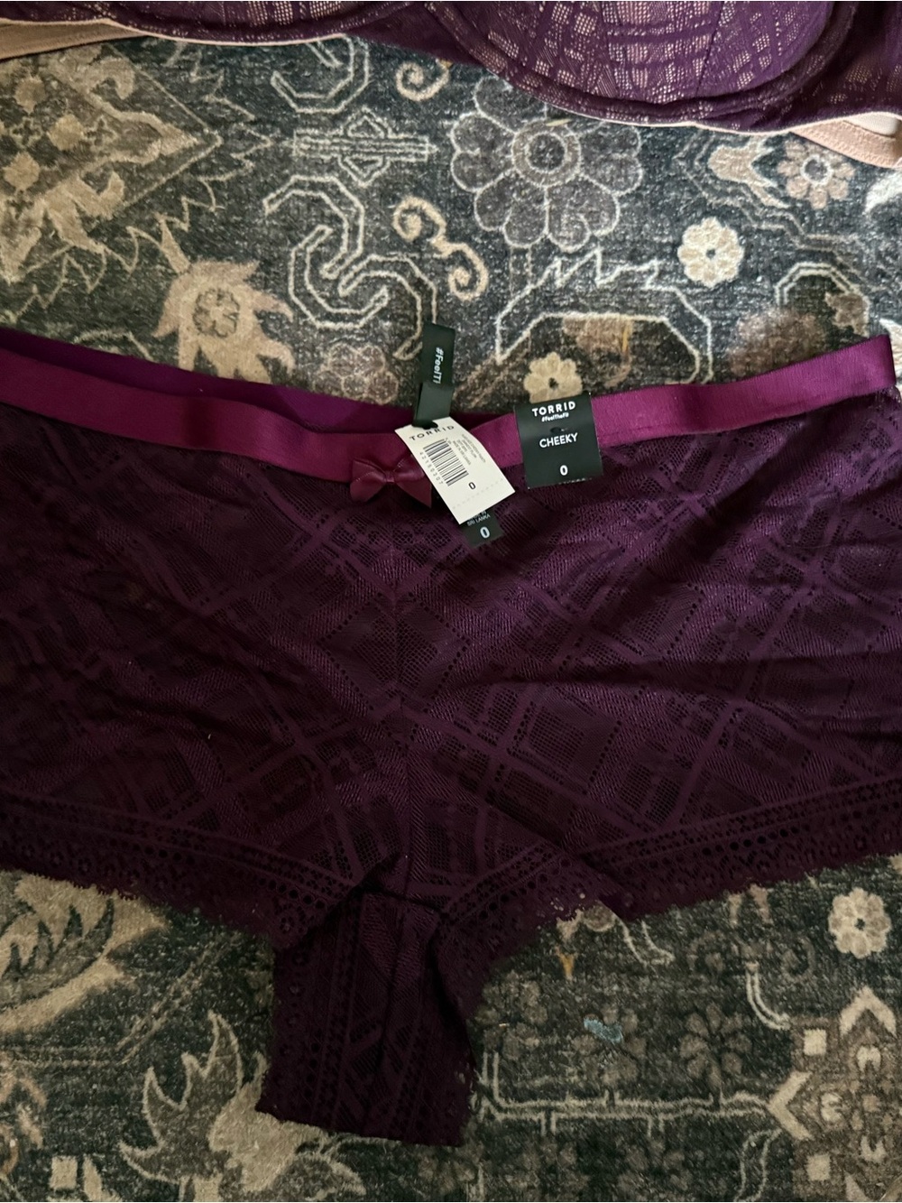 torrid Dark Plum Cheeky Lace Hipster Panty